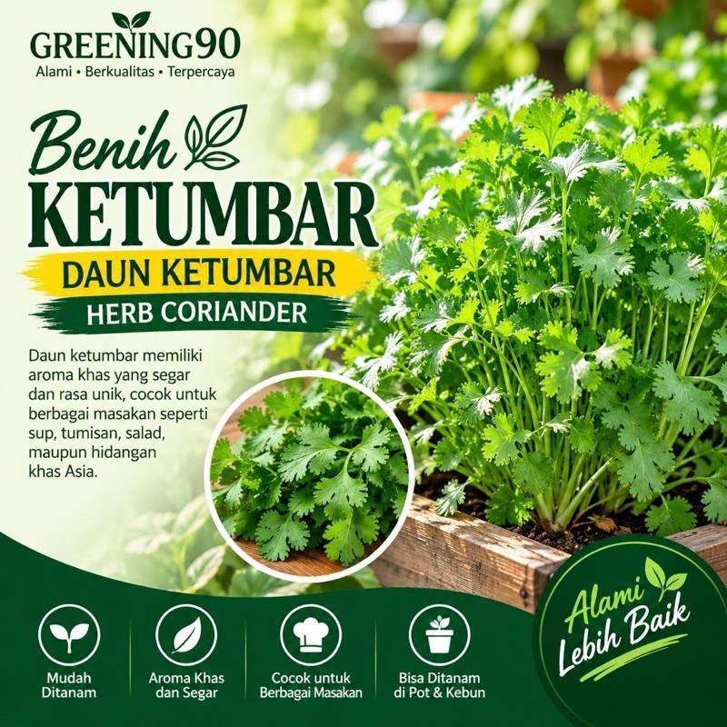25 Benih Herb Coriander Daun Ketumbar Favor Bibit Sayuran