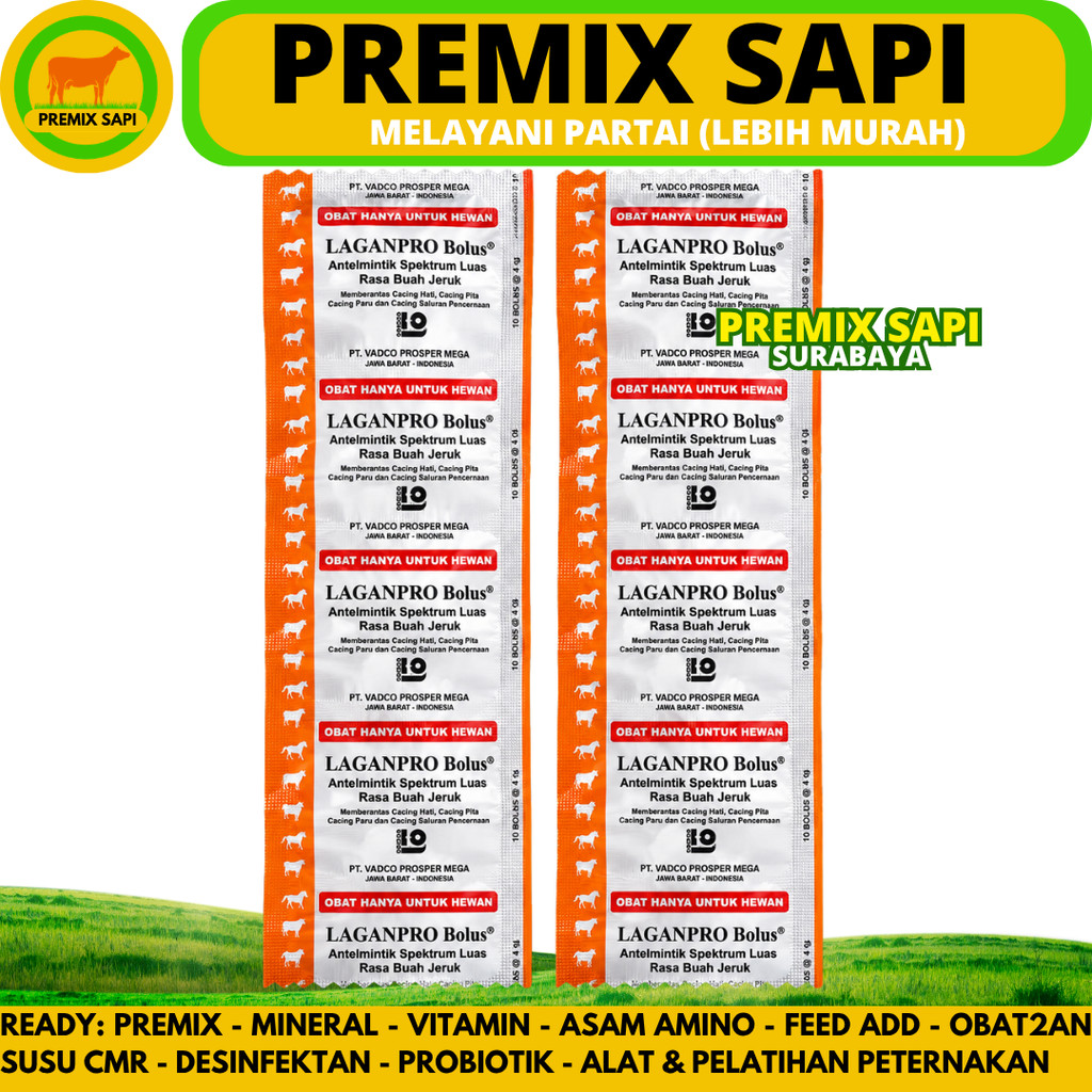 LAGANPRO BOLUS 5 BOLUS VADCO - Obat Cacing Sapi Kerbau Rasa Jeruk - Obat Cacing Sapi Bolus Paling Am