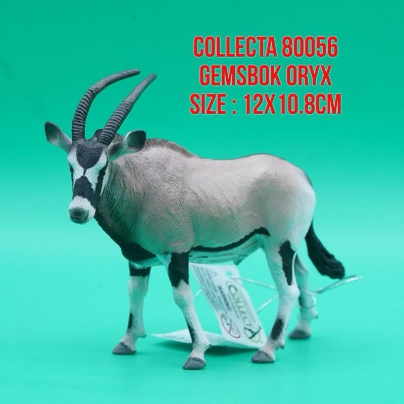Collecta 80056 ID Gemsbok Oryx South African Oryx Kukama Gemsbuck Oryx Afrika Selatan Oryx Gazella |