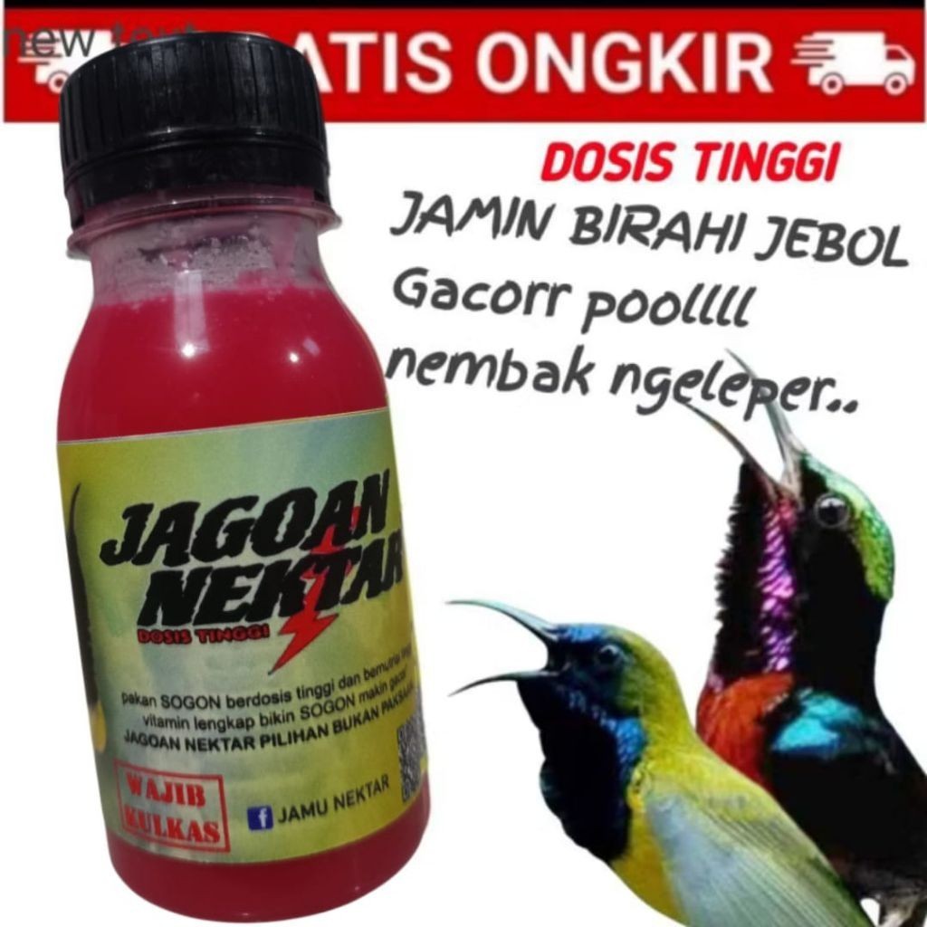 JAGOAN NEKTAR pakan sogon/konin