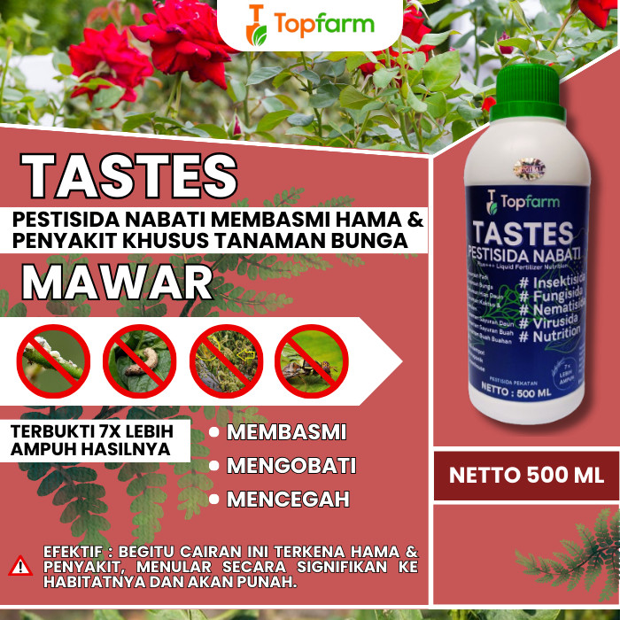 Terbaru Obat Bunga Mawar / Pestisida Bunga Mawar / Obat Penyubur Tanaman Bunga Mawar / Obat Penyubur