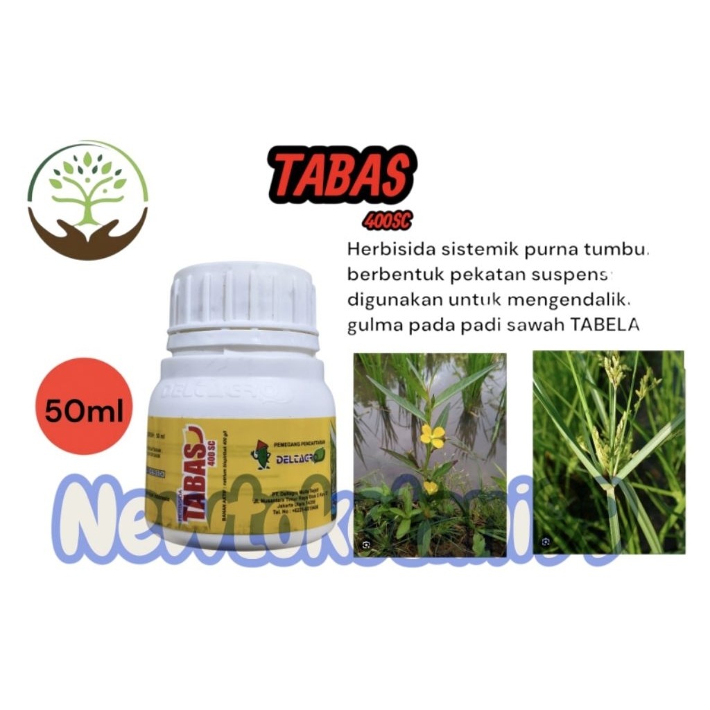 ( 50ml ) Herbisida TABAS 400 SC 50 ML obat rumput padi herbisida selektif tanaman padi STMJsby