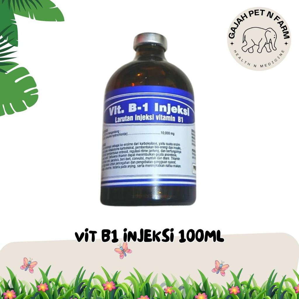 Vit B1 injeksi - Obat Lumpuh - B1 100ml- Obat Hewan