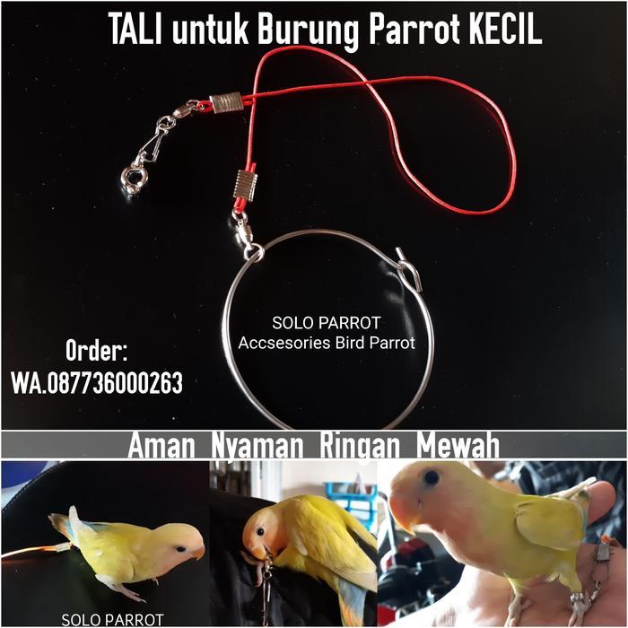 [ b2pjeefkcw ] || Tali buat Burung Kecil Parkit Perkici Lovebird Falk Beo Perkutut Jalak