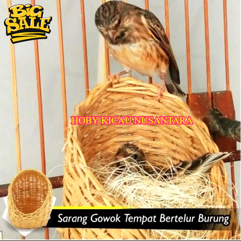 promo bulan ini sarang rotan asli tempat bertelur burung kenari Lovebird frich perkutut blackthoot s