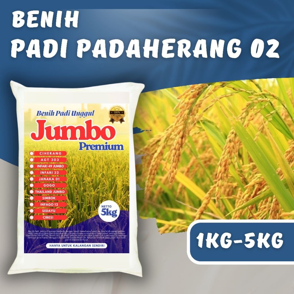 BENIH PADI UNGGUL PADAHERANG 02 PREMIUM Padaherang 02 kemasan 1kg - 5kg Berkualitas Super