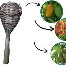 GR Alat Pemetik Buah Alat Bantu Petik Buah Bahan Bambu Brongsong Bambu