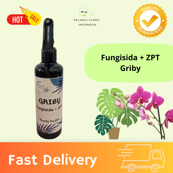 FUNGISIDA + bAKTERISIDA + ZPT GRIBY