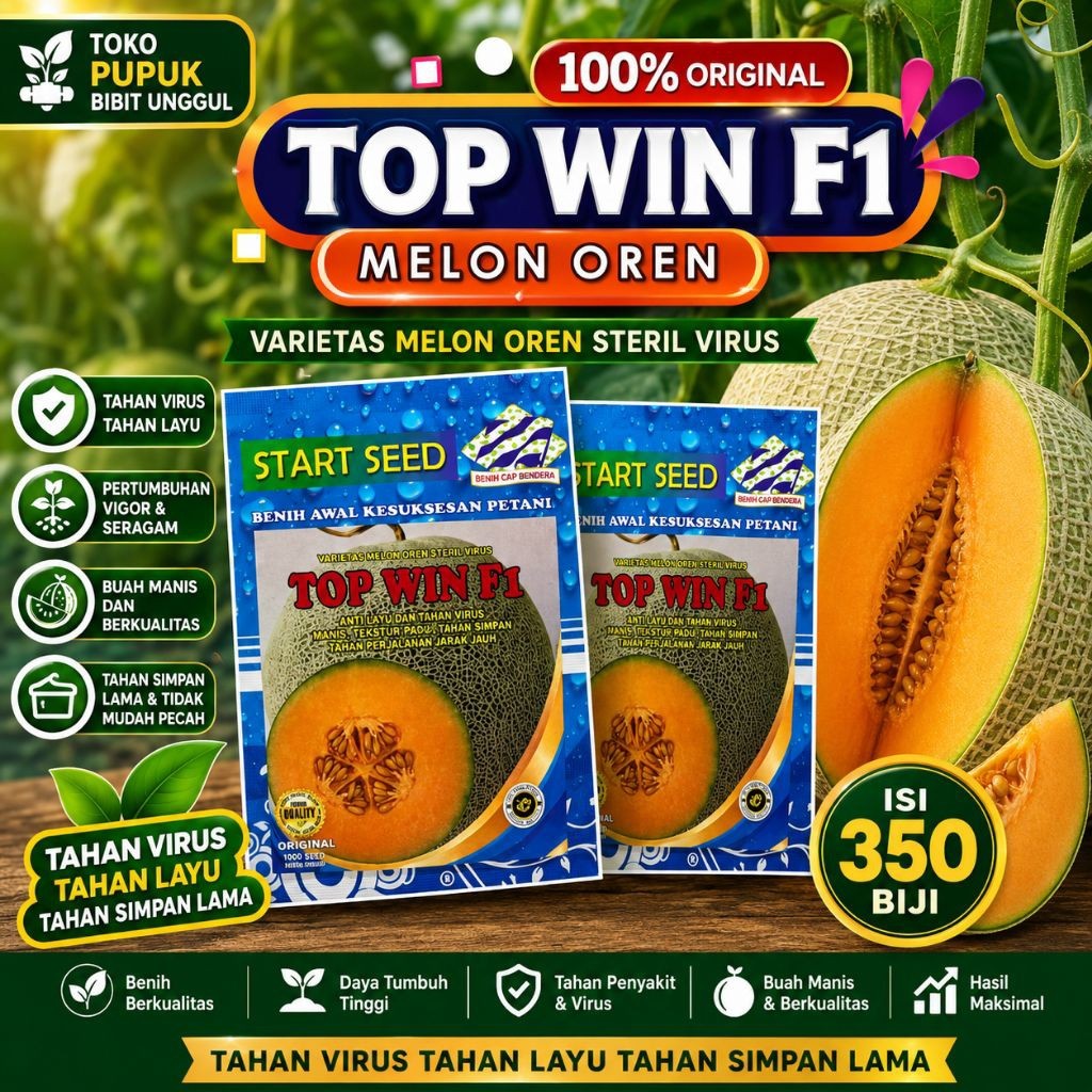 benih melon Bibit Melon Madu Super Manis TOP WIN . MANDALA F1 Benih Melon Premium Benih Melon Madu  