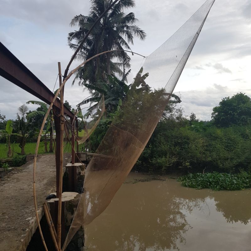 jaring anco kelambu untuk burayak dan ikan kecil