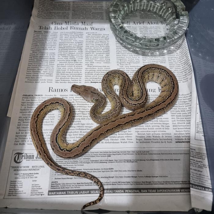 READYY GE retic klawu marble platinum