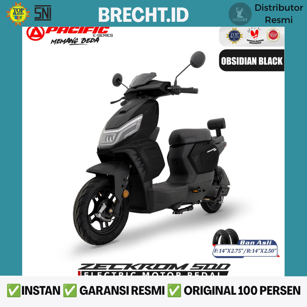 Sepeda Listrik PACIFIC ZECKROM 500 650 Watt E-Moped Exotic Pacific Zeckrom 500 E Bike