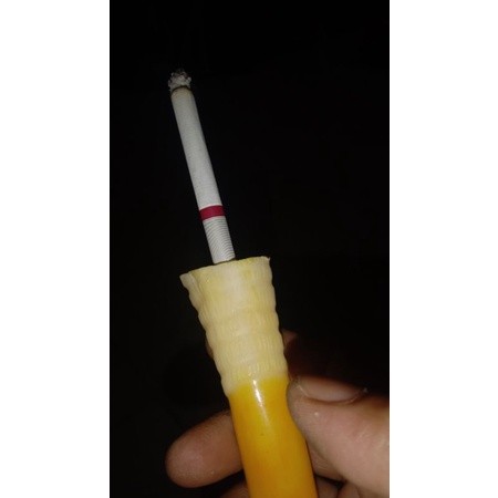 once tulang duyung 15 cm full akarnya pipa rokok multi