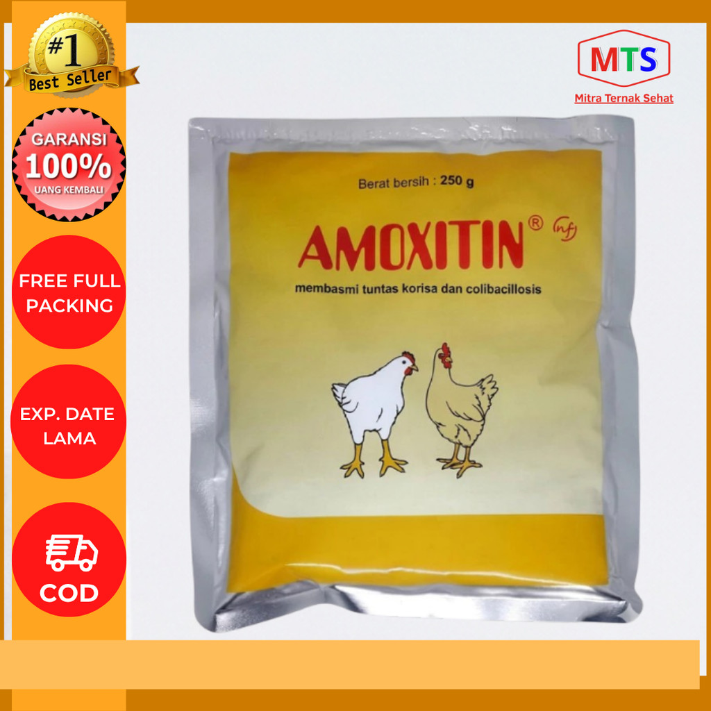 Amoxitin 250 gram MEDION obat korisa