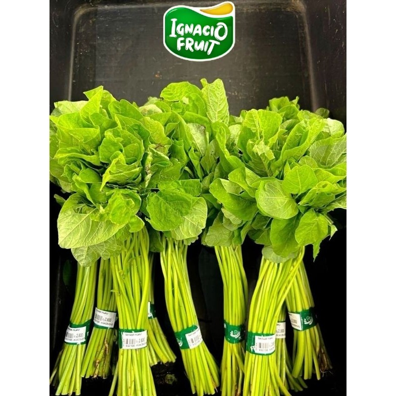 [INSTAN] SAYUR BAYAM BABY 1 IKAT