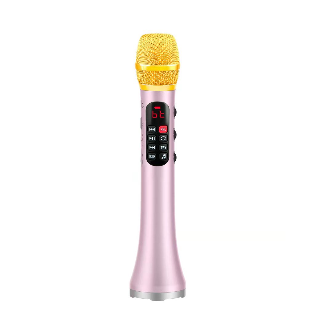 L-1038 25W Intelligent Wireless Bluetooth Karaoke Microphone Speaker with TF TWS Recorder Earphone D