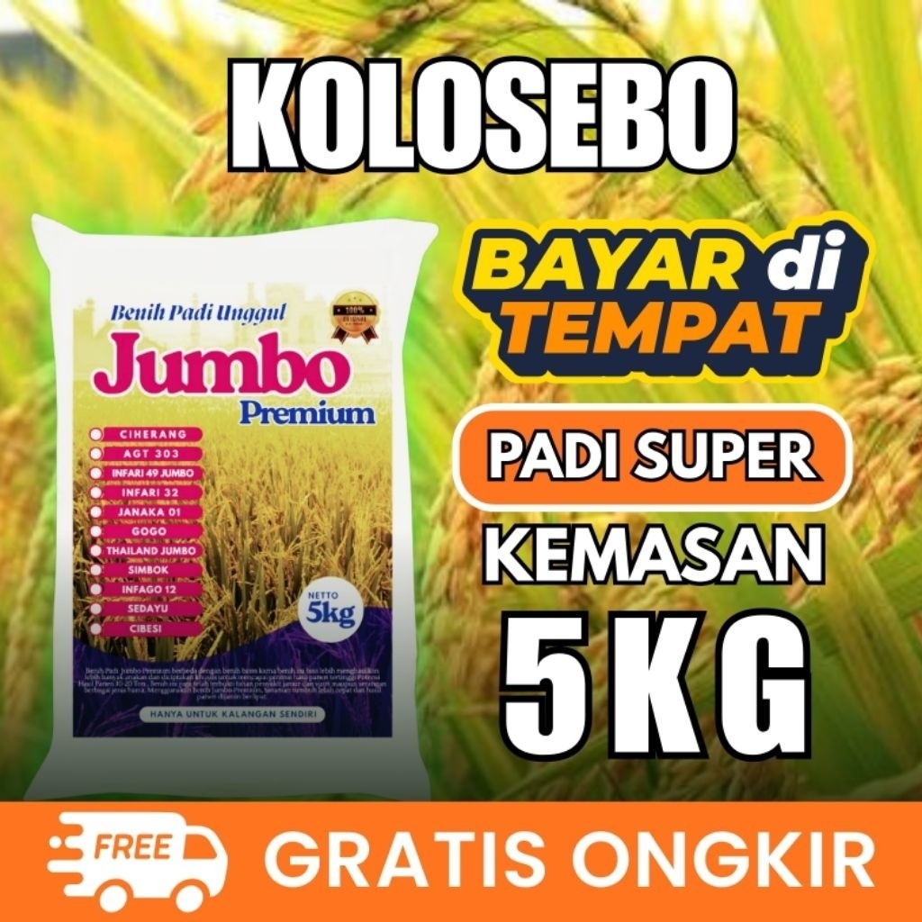SANGHIANG SRI - Bibit Padi Unggul Kolosebo 5kg Berkualitas