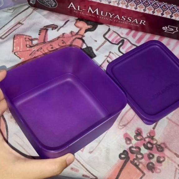 Jual Tupperware Small Summer (NEW)