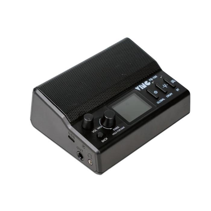 VING FB100 FB-100 FB 100 FLYBRO ALL-IN ONE PORTABLE MULTIEFFECTS PROCESSOR BMJ - Black