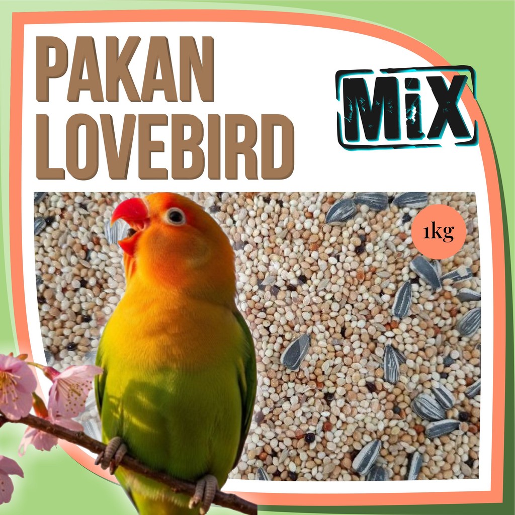 Pakan Lovebird Ternak Mabung 1 kg Kenari Seed Kuaci Milet Hitam Kuning Merah Putih