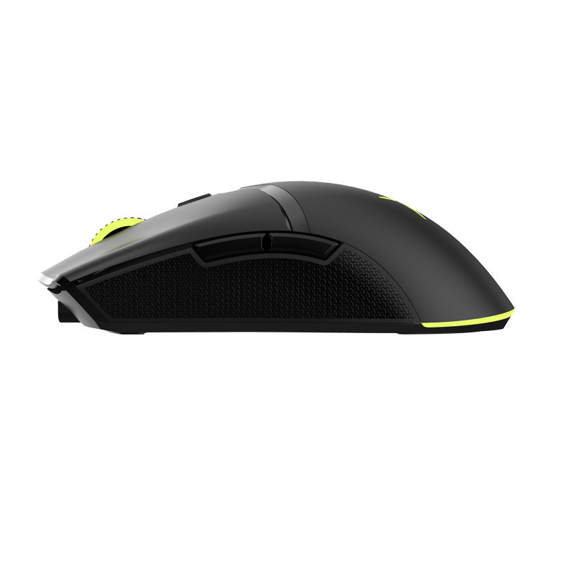 DELUX M800 PRO Wireless Gaming Mouse with PAW 3370 Sensor