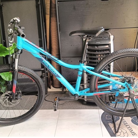 Polygon Relic 24 inch (FRAME AJA)