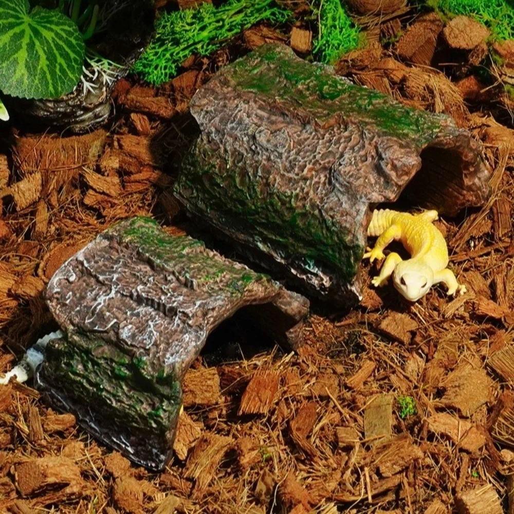 Simulasi Tempat Persembunyian Reptil Tekstur Kulit Pohon Berongga Tempat Persembunyian Kadal Gua Pel