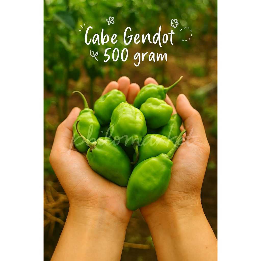 VIRAL cabe gendot cabe bendot cabai setan fresh 500gr superrrr pedasss
