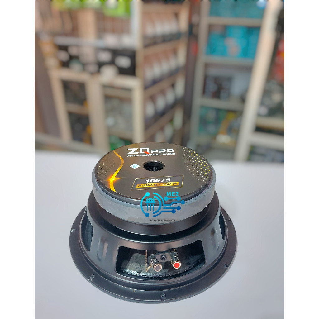 Speaker ZQPRO 10 Inch 10675 MID LOW Balap New Series