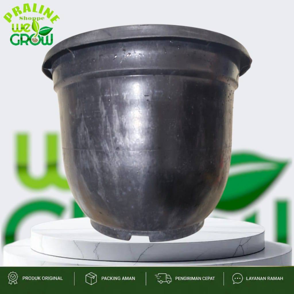 Pot Kuping Karet Yasindo 50 Hitam Cap Kuda Mas