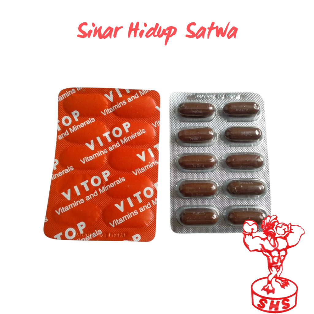 Vitop vitamin obat ayam harga per strip 10 kapsul,bukan 1box