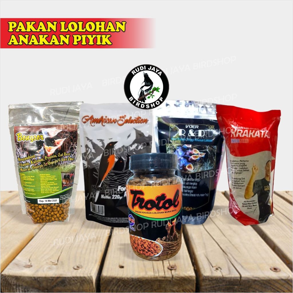 AMS LOLOH BONGSOR BRAL BRUL KRAKATAU R&D PAKAN MAKANAN LOLOH LOLOHAN ANAKAN PIYIK BURUNG