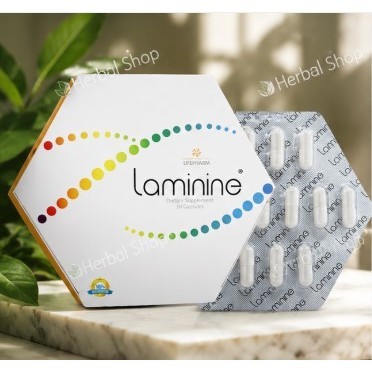 Laminine Laminin Stemcell Ori Original 30 Kapsul