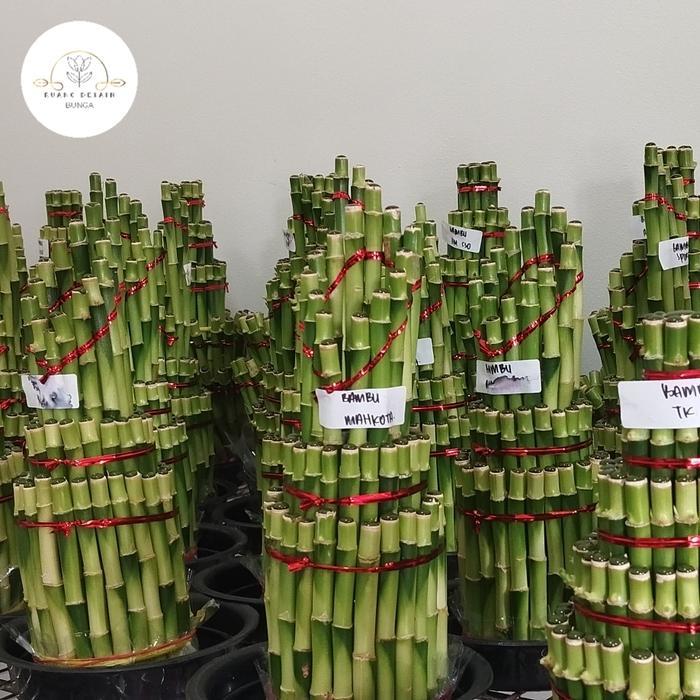 bambu mahkota hoki|Afiqah_Flowers Souvenir