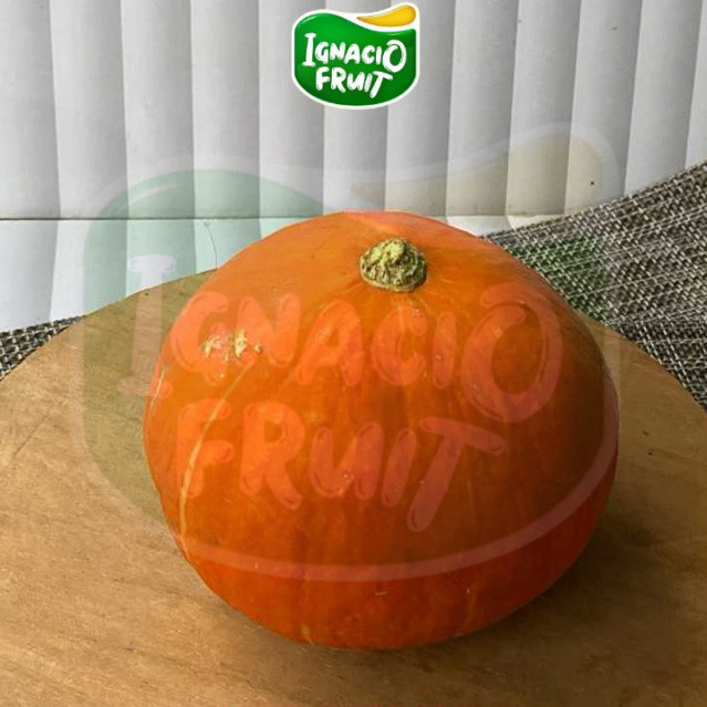 [Instant] Kabocha jepang, labu kabocha kuning, labu kabocha - Ignaciobox - Sameday