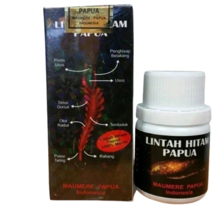 (03) LINTAH HITAM PAPUA Minyak urut pembesar mrpp lintah hitam pemanjang ori