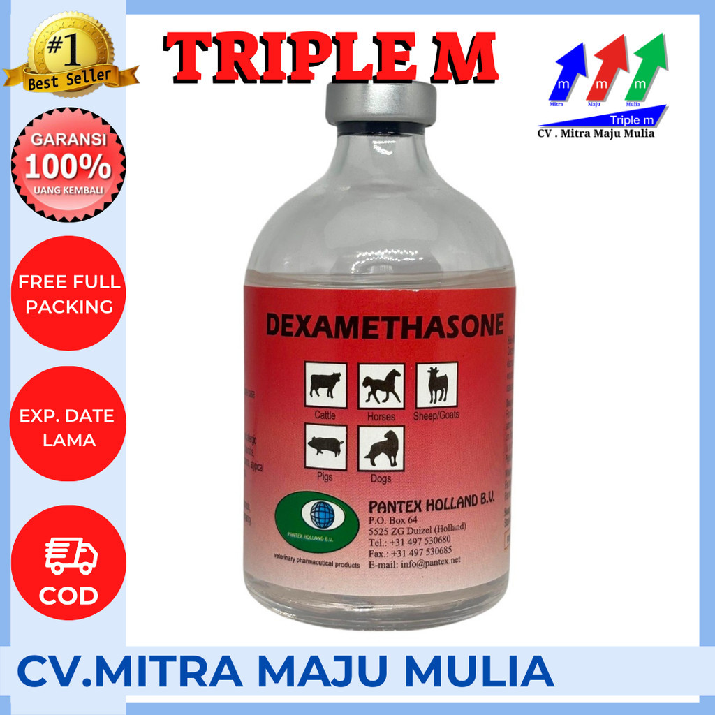 FERTUSHOP  Dexamethasone Injeksi Hewan Pantex Holland Triple M
