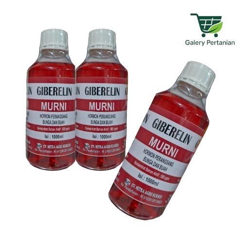 Giberelin 1 Liter untuk Mempercepat Bunga dan Buah Secara Alami