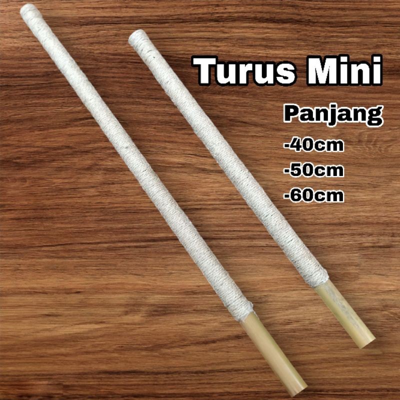 Baru Turus penyangga tanaman/Turus bambu mini/Turus minion/Turus tanaman minimalis/Ajir Tanaman