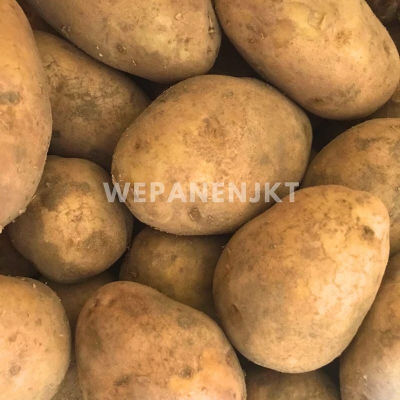 Kentang Dieng Kentang Kuning besar 1kg