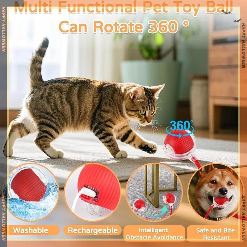 Mainan Bola Interaktif Kucing Baru Menggelinding Otomatis Ekor Palsu Recharge Mainan Elektrik Pintar