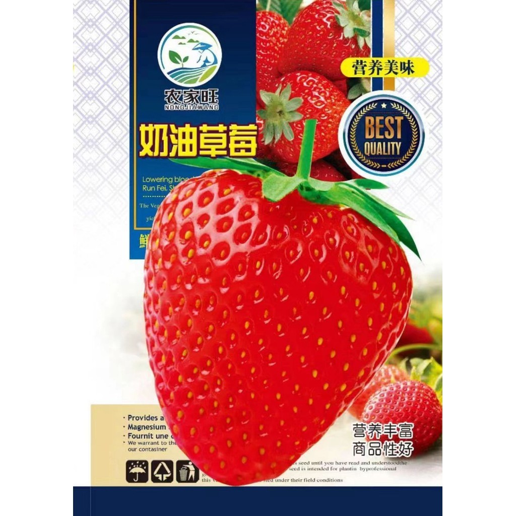Benih Tanaman Strawberry Merah isi 200 Biji Bibit PRC