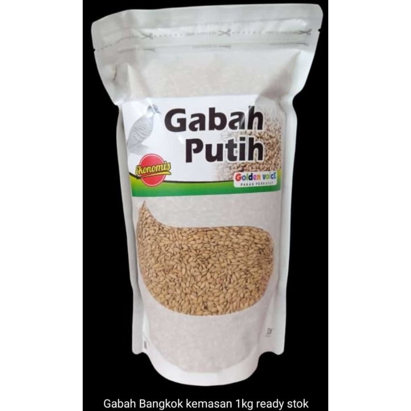 pakan perkutut gabah putih ekonomis