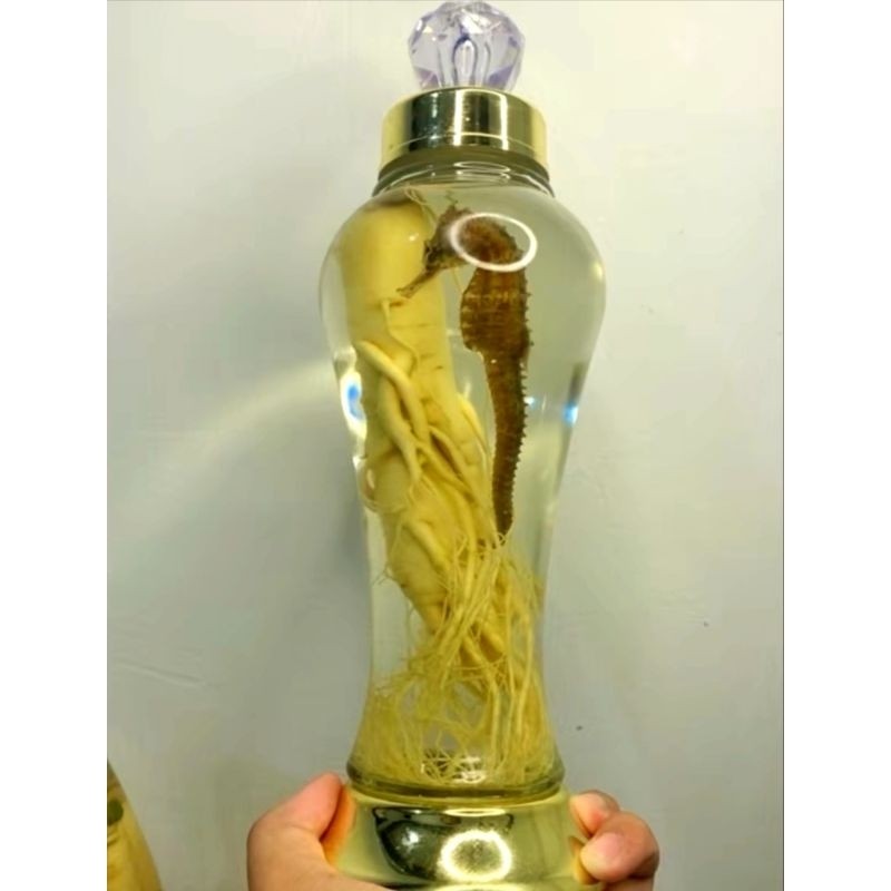 botol gingseng 1 Liter + gingseng jumbo + KL besar