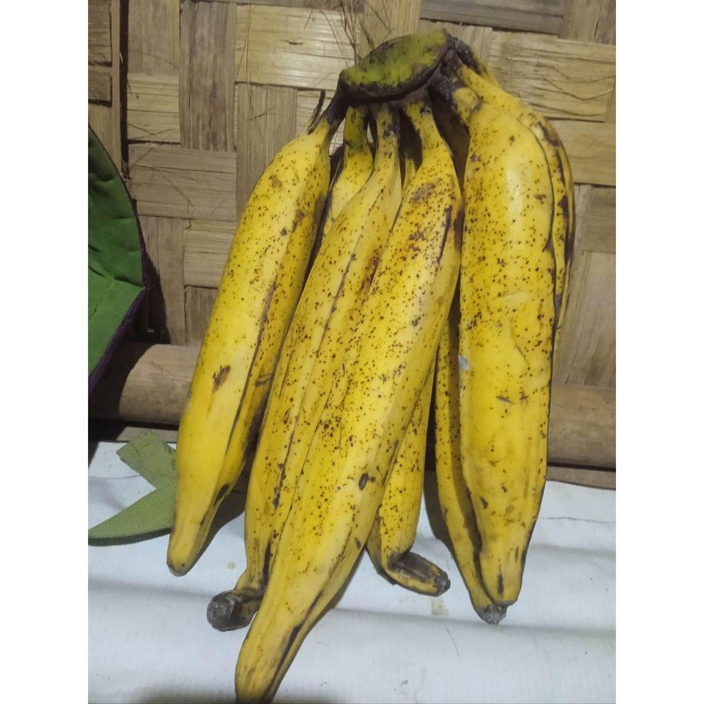 1 kg pisang tanduk  mentah berkualitas