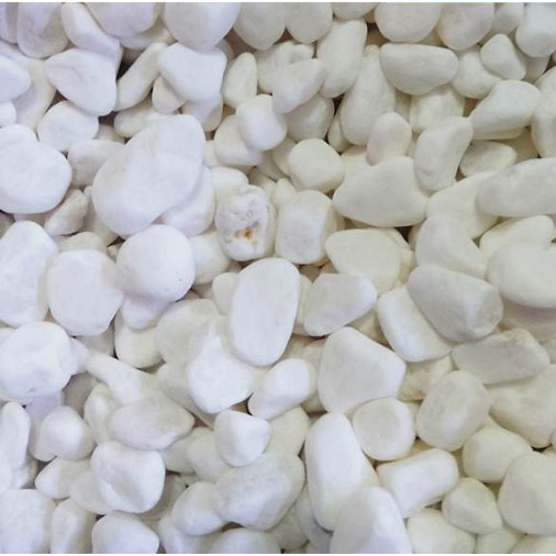 Batu Itali Repack 500 Gram Batu Italy Hias Coral Koral Putih Aquarium