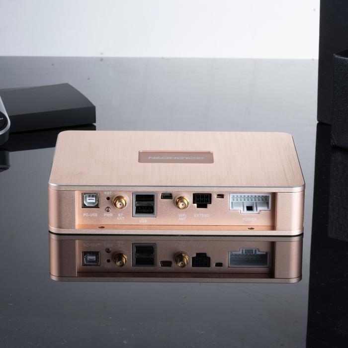 GOLDHORN AMPLIFIER A10 P1 DSPA