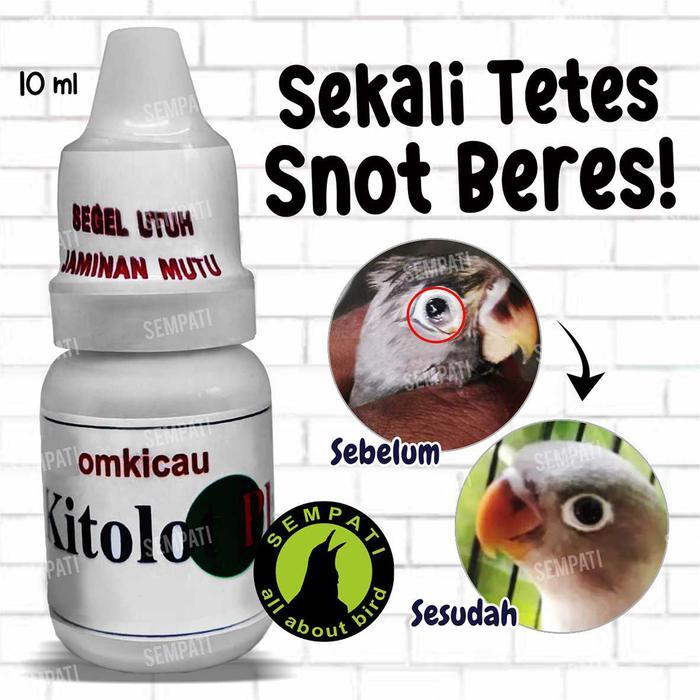 [ burj9iil1v ] || BIRD KITOLOT TETES OM KICAU OBAT BURUNG SAKIT MATA KATARAK BERLENDIR