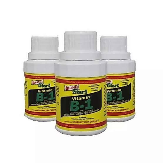 DISKON pupuk vit B1 VITAMIN TANAMAN - B1 LIQUINOX obat penumbuh akar tanaman