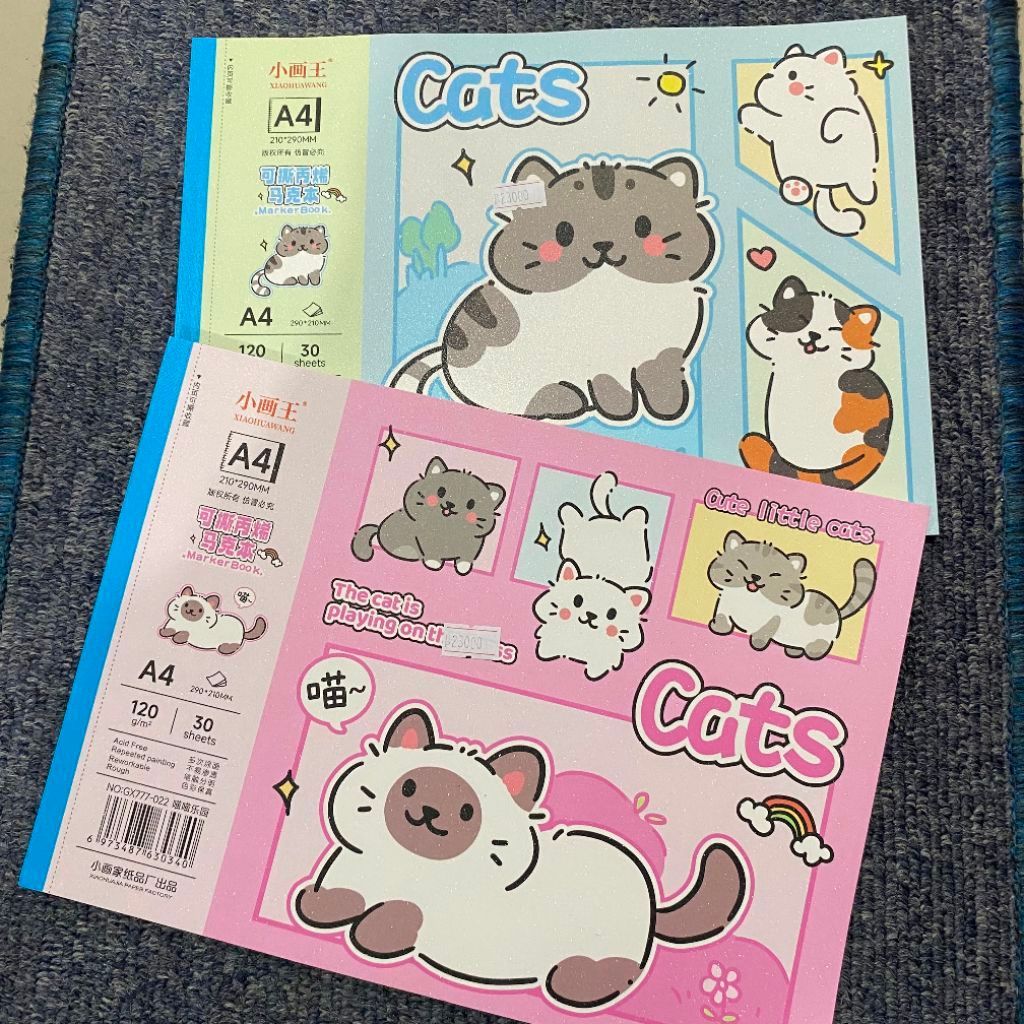 DrawingBoox Cat